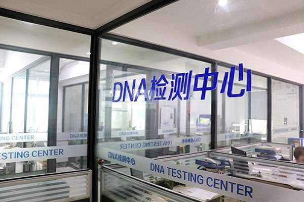 γDNA